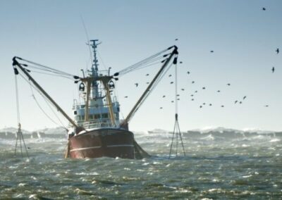 Tierra de Fuego: “Encontramos en la pesca de altura una oportunidad inmejorable para el desarrollo de la provincia”