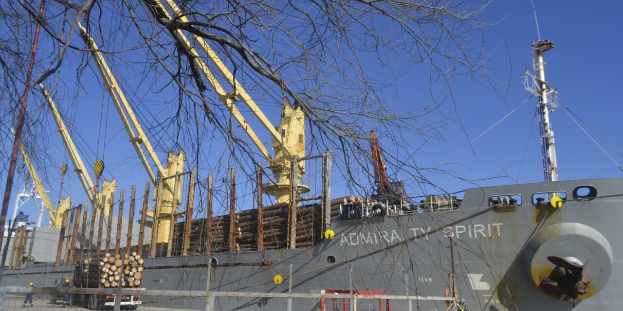 Puertos entrerrianos en plena actividad de exportación de madera para la India