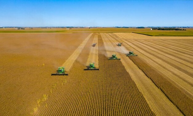 El Agro Argentino se recuperación: Exportaciones agroindustriales crecen un 26% en 2024