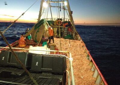 Las cuotas de pesca: Camarón que se duerme se lo lleva la corriente