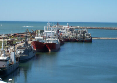 Puerto Mar del Plata: se redefine el uso de la Escollera Norte y finaliza el proyecto de la Terminal de Cruceros