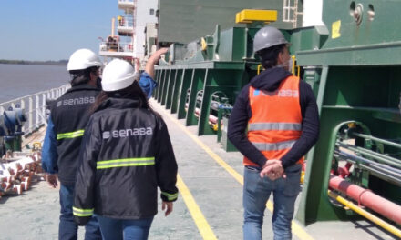 Senasa implementa nuevas medidas para la prevención de plagas en puertos 