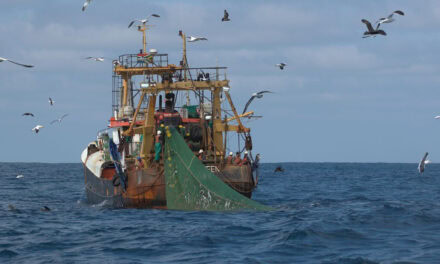 Argentina firma acuerdo internacional para disminuir la pesca desregulada en alta mar