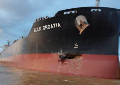 Colisión entre el granelero Mv Bulk Croatia y un convoy de barcazas en el KM 343 del Puerto San Nicolás
