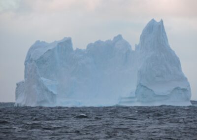 Prefectura monitorea el recorrido de un iceberg que flota cerca de Ushuaia