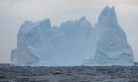 Prefectura monitorea el recorrido de un iceberg que flota cerca de Ushuaia