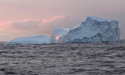 Preocupación por la aparición de icebergs cerca de Ushuaia