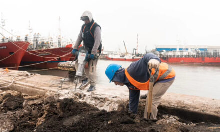 Avanzan las obras de reparación del muelle en el Puerto de Mar del Plata