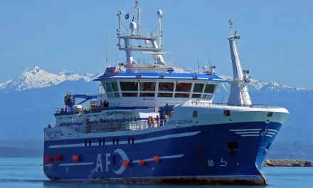 Tragedia en el Atlántico Sur: Seis fallecidos y siete desaparecidos tras el naufragio del pesquero “Argos Georgia”