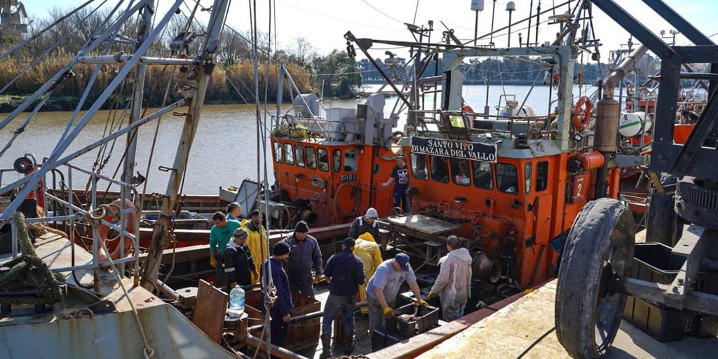 Descarga de corvina en el puerto de La Plata impulsa el desarrollo regional