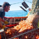 Industria Pesquera, el impacto del RIGI y un Gobierno que preocupa