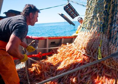 Industria Pesquera, el impacto del RIGI y un Gobierno que preocupa