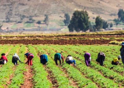 El BID publicó el informe “Políticas Agropecuarias en América Latina y el Caribe, 2023”