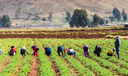 El BID publicó el informe “Políticas Agropecuarias en América Latina y el Caribe, 2023”