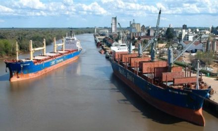 Zonas Francas Impulsan la Exportación de Madera en Argentina y Uruguay