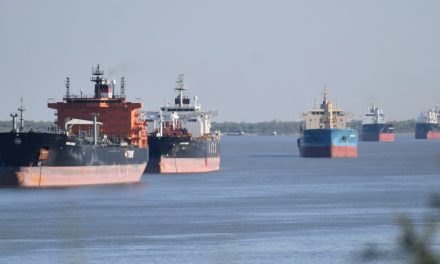 Vía Navegable Troncal: La Subsecretaria de Puertos licitará, controlará y realizará el estudio medio ambiental previo