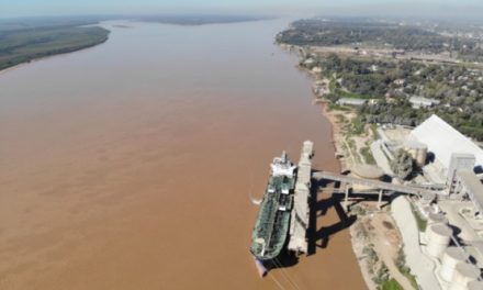 Puertos Privados y Diputados de Santa Fe piden inclusión de accesos a puertos en la licitación de la VNT