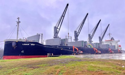 El Puerto de Concepción del Uruguay continúa con intensa actividad de exportación y acopio de granos