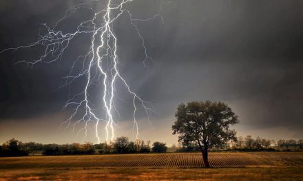 Por qué el campo espera la tormenta de Santa Rosa