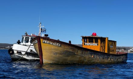 Hundimiento del Primavera da inicio al mayor Parque Subacuático en Puerto Madryn