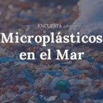 La JST lanza encuesta para mitigar el riesgo de contaminación plástica en el mar