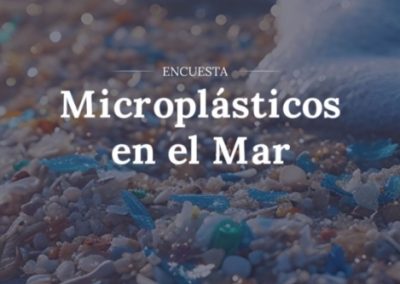 La JST lanza encuesta para mitigar el riesgo de contaminación plástica en el mar