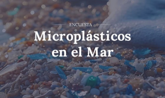 La JST lanza encuesta para mitigar el riesgo de contaminación plástica en el mar