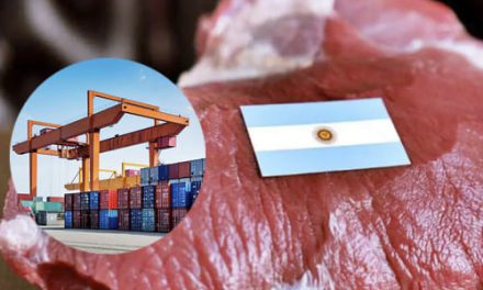 La Carne Bovina en el Auge de las Exportaciones Argentinas