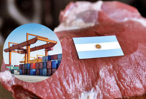 La Carne Bovina en el Auge de las Exportaciones Argentinas