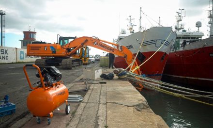 Finaliza la primera etapa de colocación de defensas en el puerto de Mar del Plata