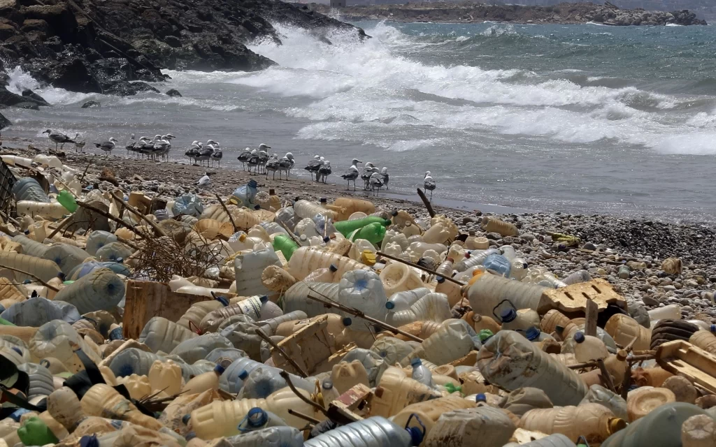 Nueva Iniciativa Contra la Contaminación Plástica en el Mar Patagónico