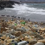 Nueva Iniciativa Contra la Contaminación Plástica en el Mar Patagónico