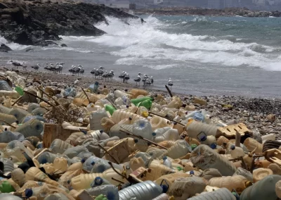 Nueva Iniciativa Contra la Contaminación Plástica en el Mar Patagónico