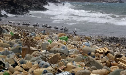 Nueva Iniciativa Contra la Contaminación Plástica en el Mar Patagónico