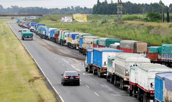 Récord de camiones en Rosario y baja exportación marcan el inicio de la campaña 2024/25